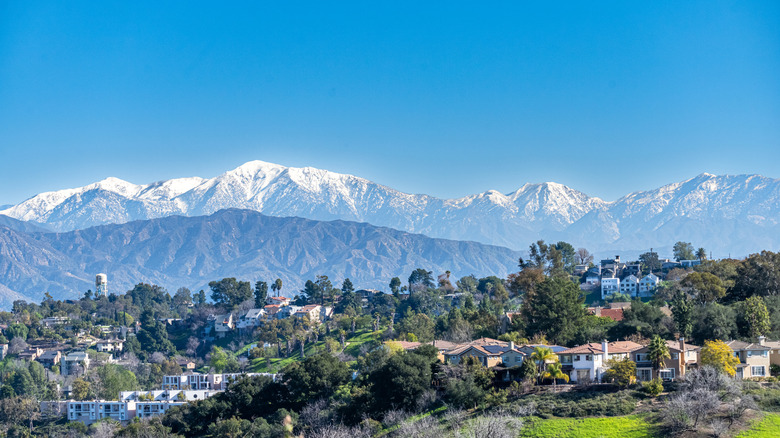 Monterrey Hills backed by San Gabriel Mountains featuring snowcapped Mount Baldy, Calfiornia