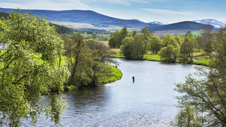 The River Spey surrounded by greenery near Grantown-on-Spey, Scotland