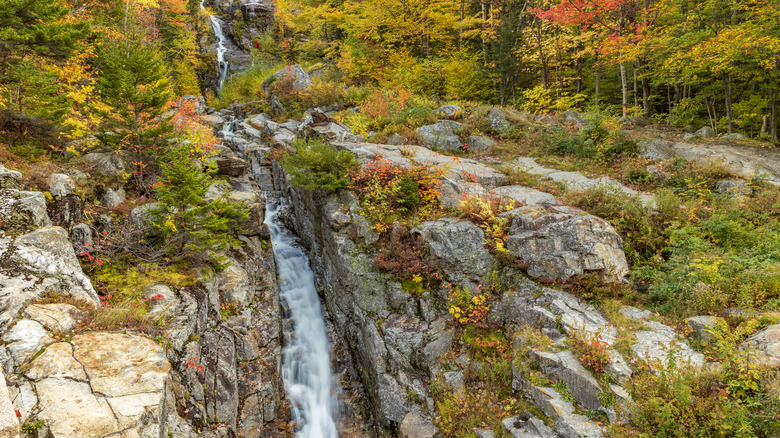 Waterfall in Crawford Notch