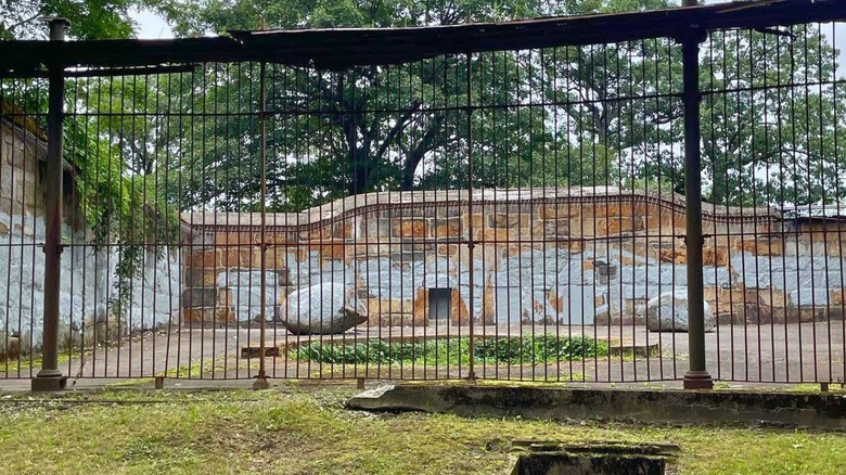 Abandoned old bear den at Franklin Park in Boston
