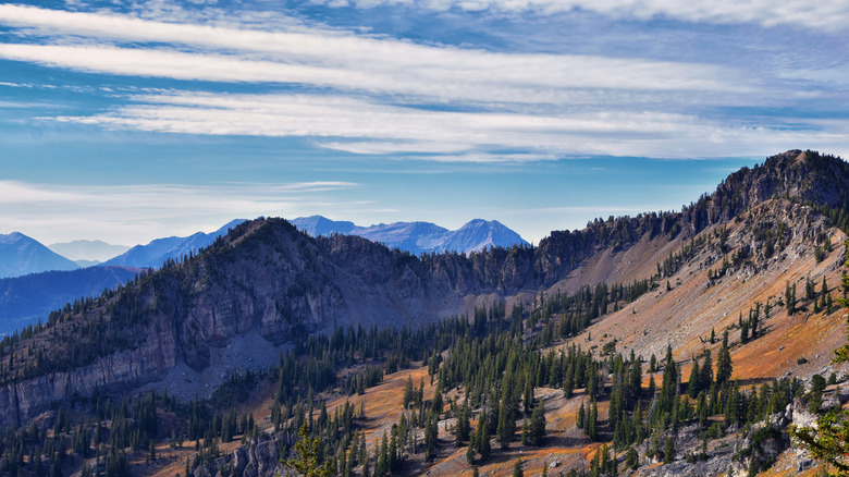 Landscape of mountains and forests near Midway
