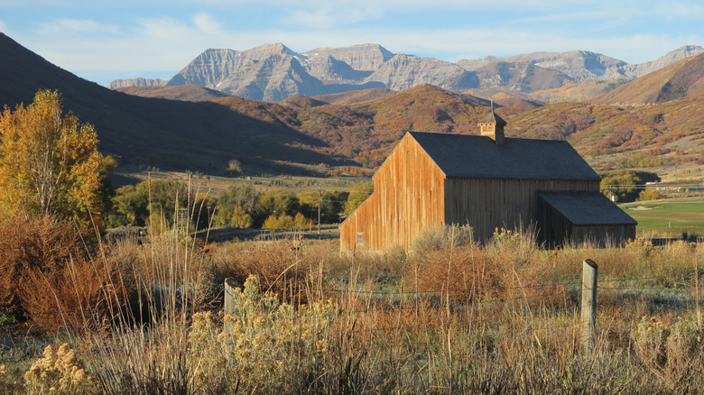 A historic barn in Midway, Utah