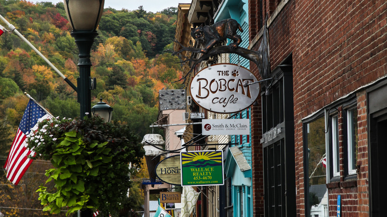 Shop signs in Bristol, VT