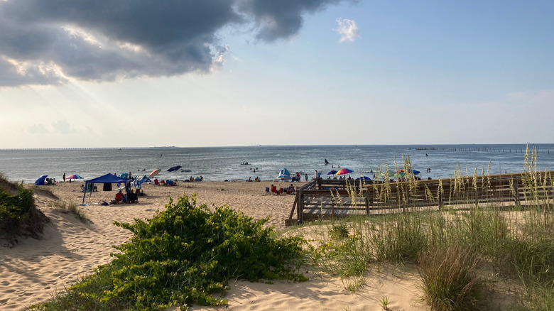A wide view of the beach at First Landing State Park in Virginia Beach