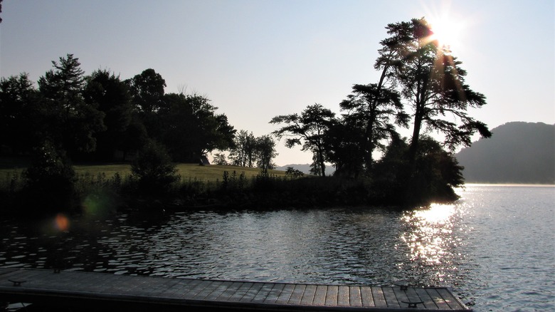 Trees along a lake in Claytor Lake State Park