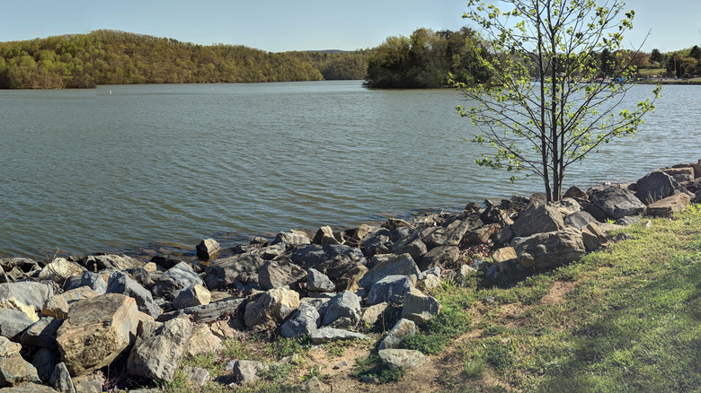 The rocky lakeshore at Claytor Lake State Park on a sunny day