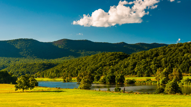 The Shenandoah River in the Shenandoah Valley, Virginia