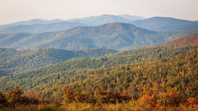 View of the Blue Ridge Mountains at Shenandoah National Park