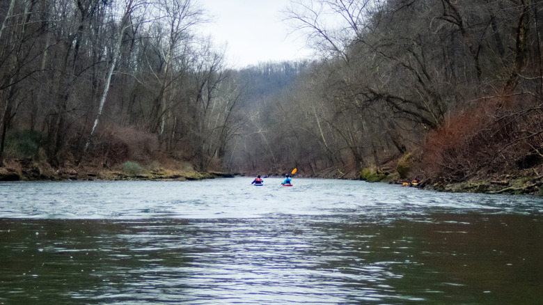 Kayakers on a river