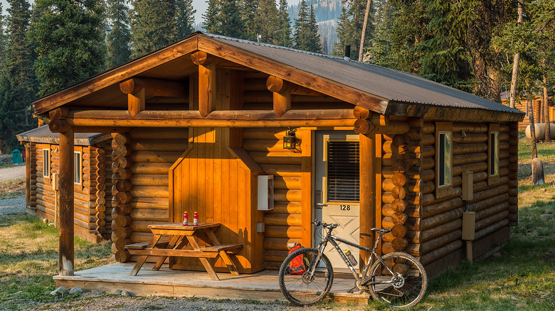 Togwotee Mountain Lodge cabin in the summer time with a bike perched on a wooden beam, and green trees surrounding the cabin