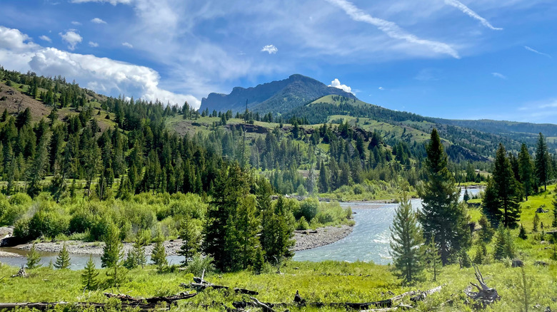 River winding through Shoshone National Forest