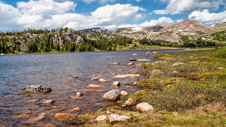 A lake in Shoshone National Forest