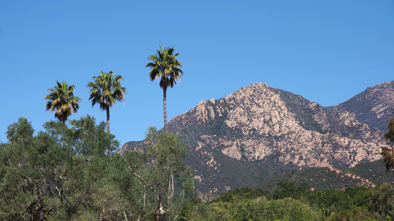 View of the Santa Ynez Mountains
