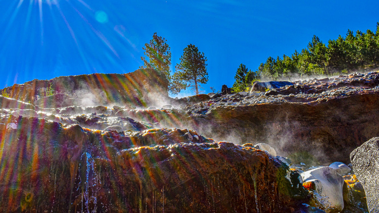 Steaming hot springs in Boise National Park