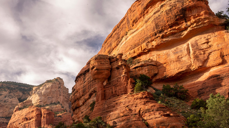 Red cliffs in Sedona, AZ