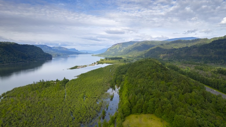 The Columbia River and surrounding forest landscape in Oregon