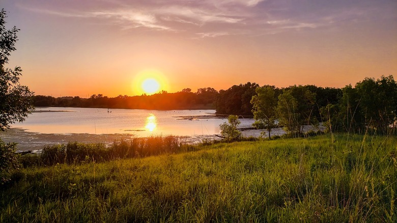 Sunset over Walnut Creek Lake with grass in the foreground and trees on either side