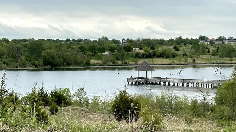 Trees around Walnut Creek Lake, and a wooden bridge towards a pavilion over the water