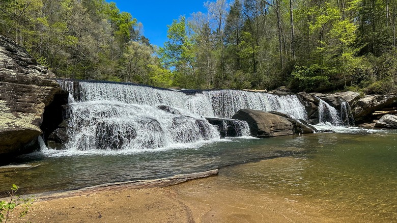 Riley Moore Falls backed by verdant forest