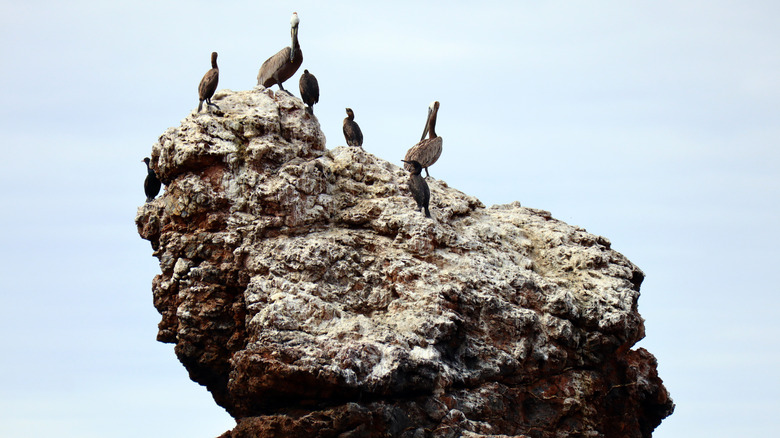 A rock formation at Big Rock Beach, Malibu, CA