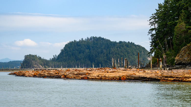 Goat Island, Skagit Bay