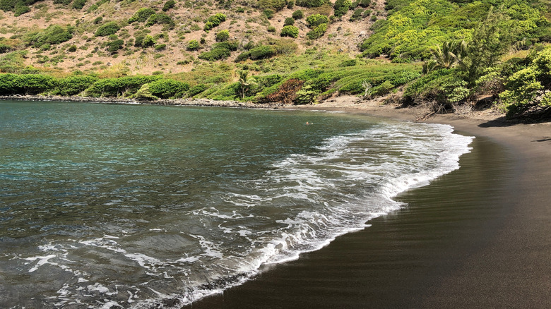 Black sand beach on the island of Moloka'i