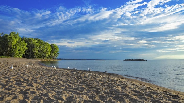 Lake Erie's shore on a clear day
