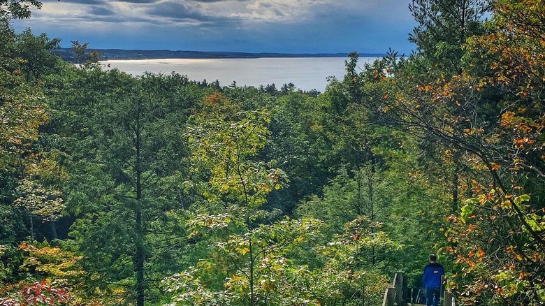 A wooden walkway through woodlands in Petoskey State Park, Michigan