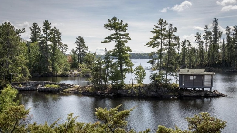 Cabin and tall trees jutting out on a lake