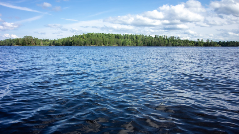 Lake with forest of trees in distance