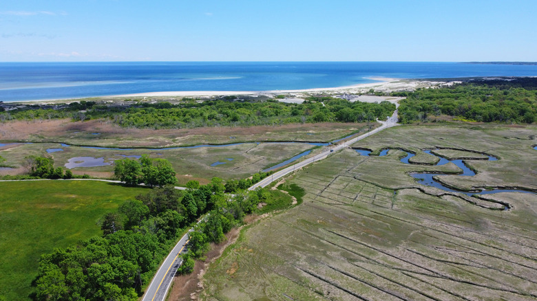 Crane Beach boardwalk through marshes and sand dunes