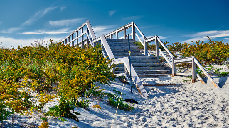 Access trail to Crane Beach