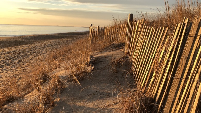 Beach sand dunes at dusk