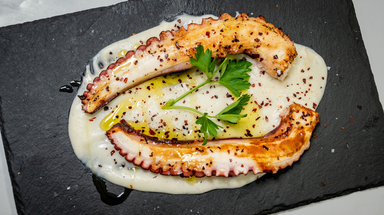 Seafood dish from Southern Spain on a white sauce on a plate