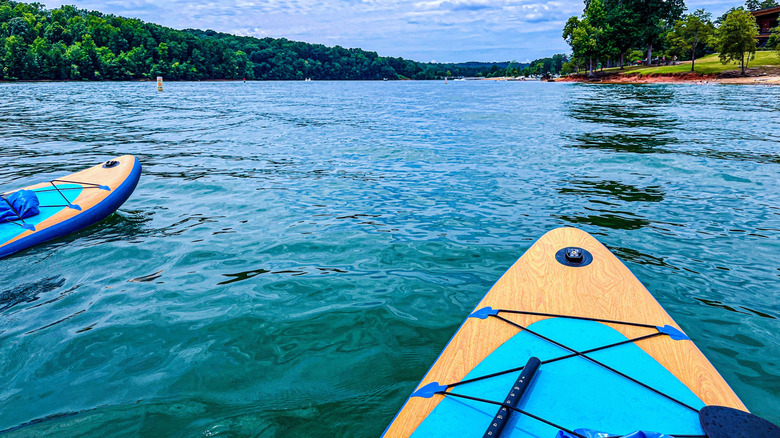 Two paddleboards on a pristine lake with forest surrounding it