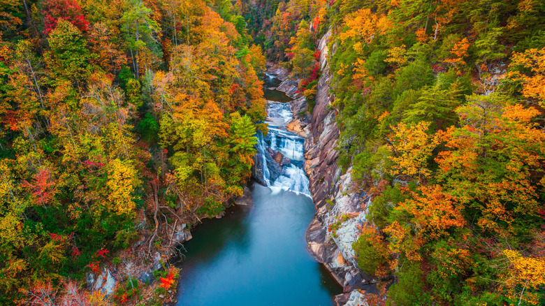 An aerial shot of a waterfall in a gorge with fall foliage