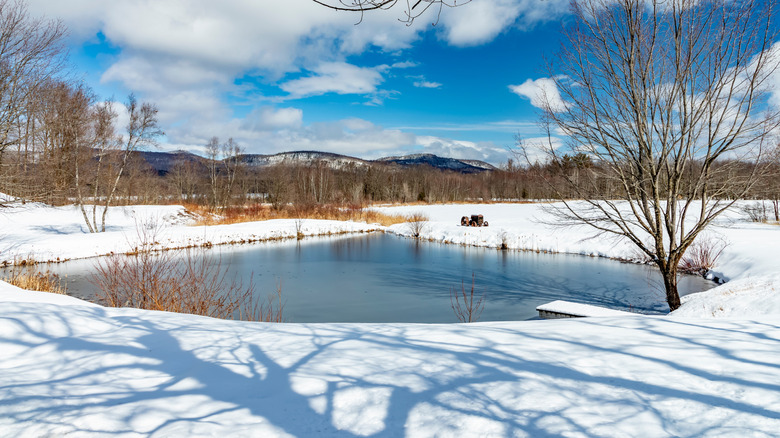 snow and ice-covered stock pond in bethel maine