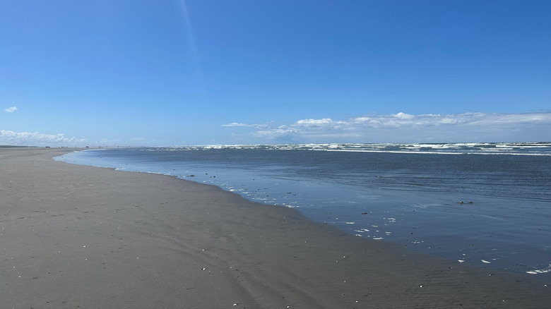 The shoreline at Grayland Beach State Park.