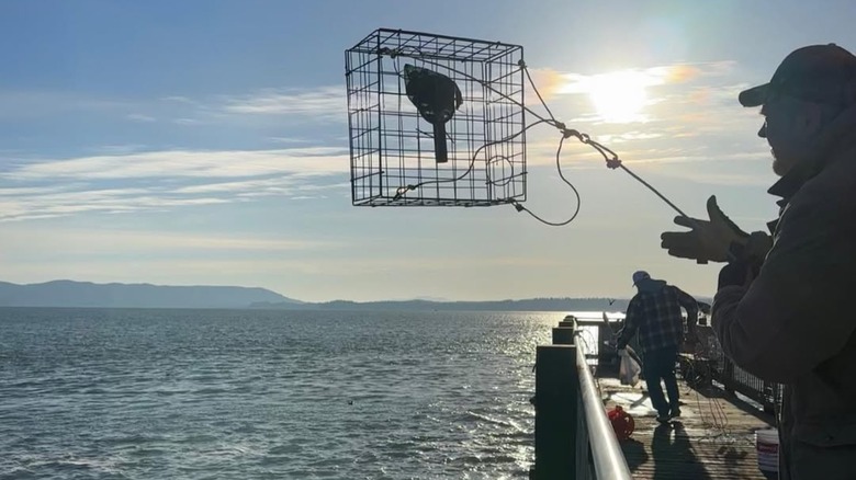 People throwing crab pots off a dock in Tokeland, WA.
