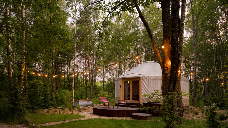 A yurt set up in a forest