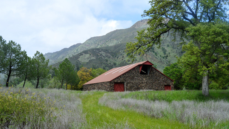 Barn in Capay Valley field