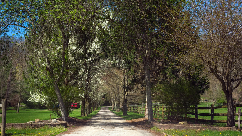 View of a long driveway in Chagrin River Valley, Ohio