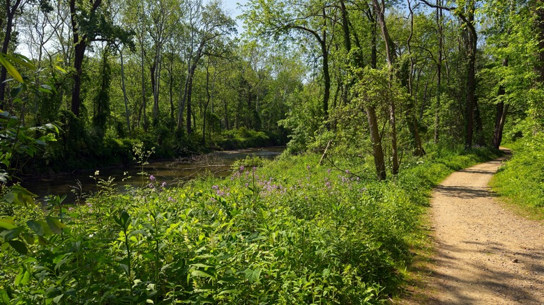 The Bridle Path along the Chagrin River in Ohio