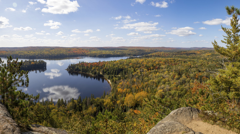 Aerial view over a Muskoka lake with fall foliage and blue skies