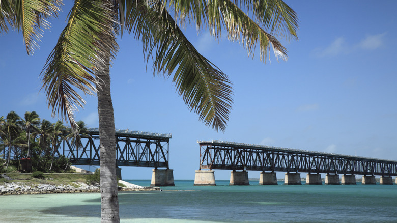 The Old Bahia Honda Railroad Bridge as seen from Calusa Beach, framed by palm trees and water