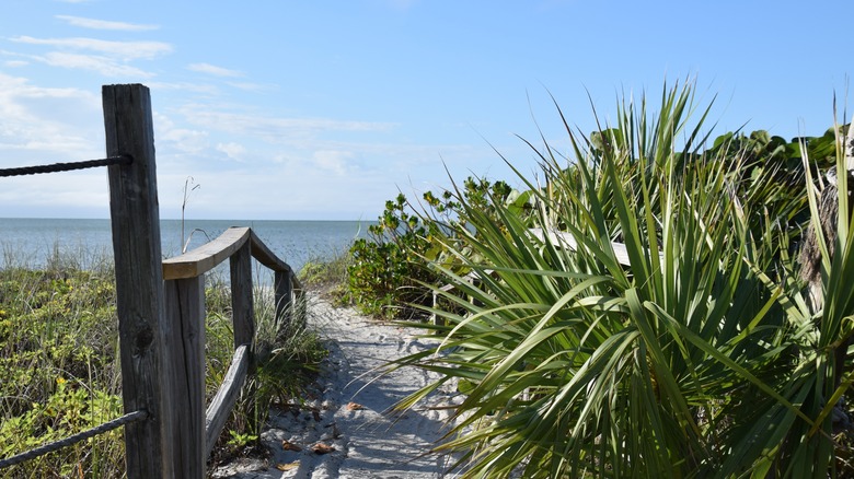 A sandy path to the beach on Captiva Island