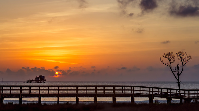 A golden-pink sunset over a wooden boardwalk on Dauphin Island