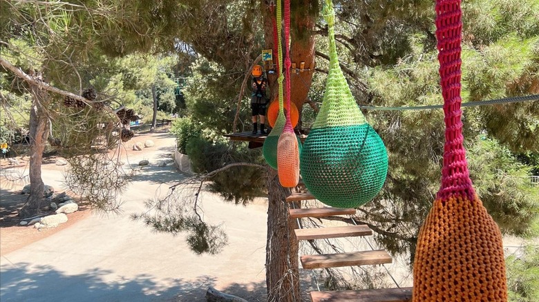 A rope course through the pined at Ventura Ranch KOA, near Santa Paula.