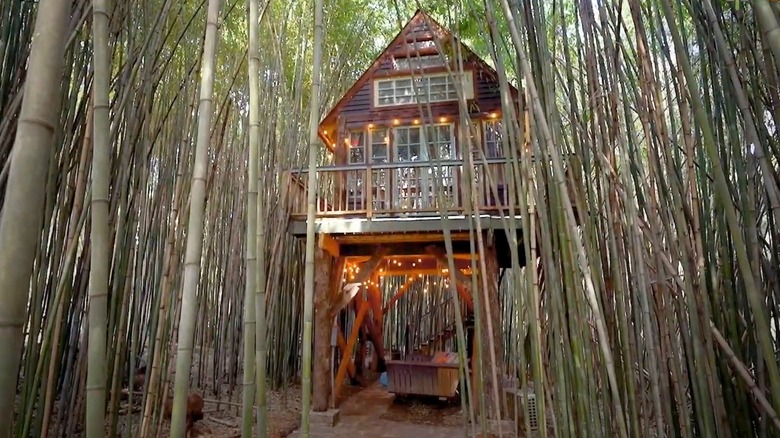 Atlanta Alpaca Treehouse outside shot
