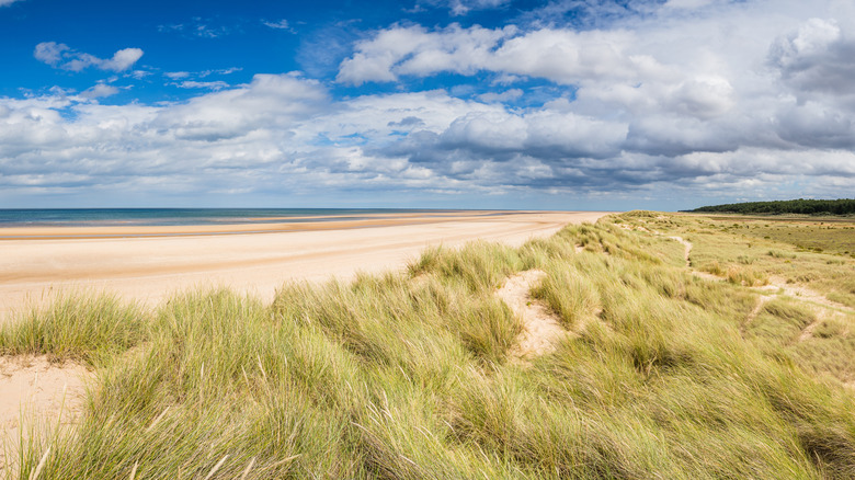 Holkham Beach and sand dunes, Norfolk